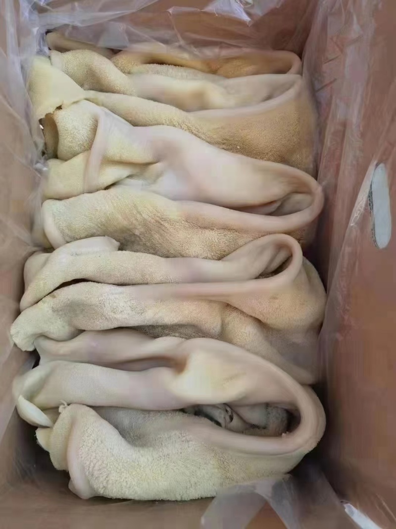 牛全肚