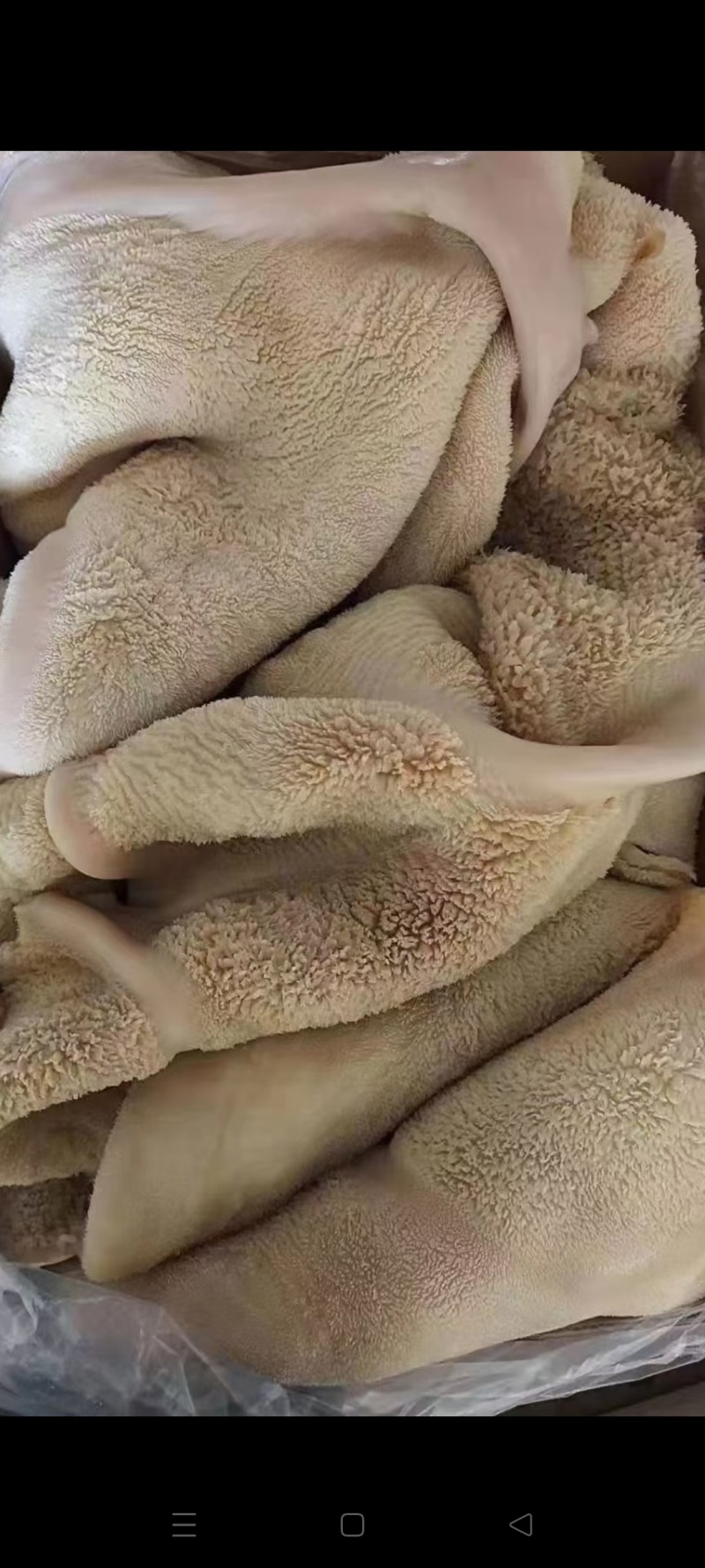 牛全肚