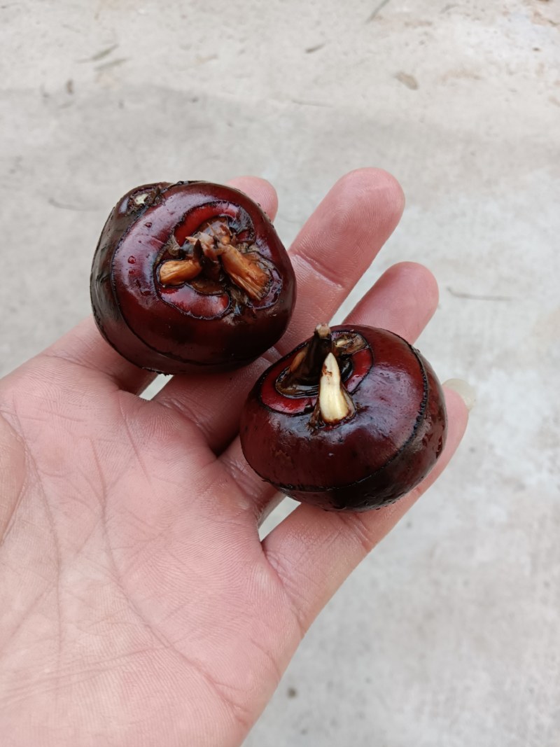 优质农产品马蹄