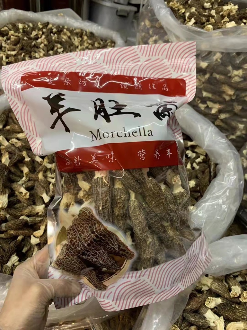 云南高山山珍羊肚菌羊肚菌大量上市。美味羊肚菌
