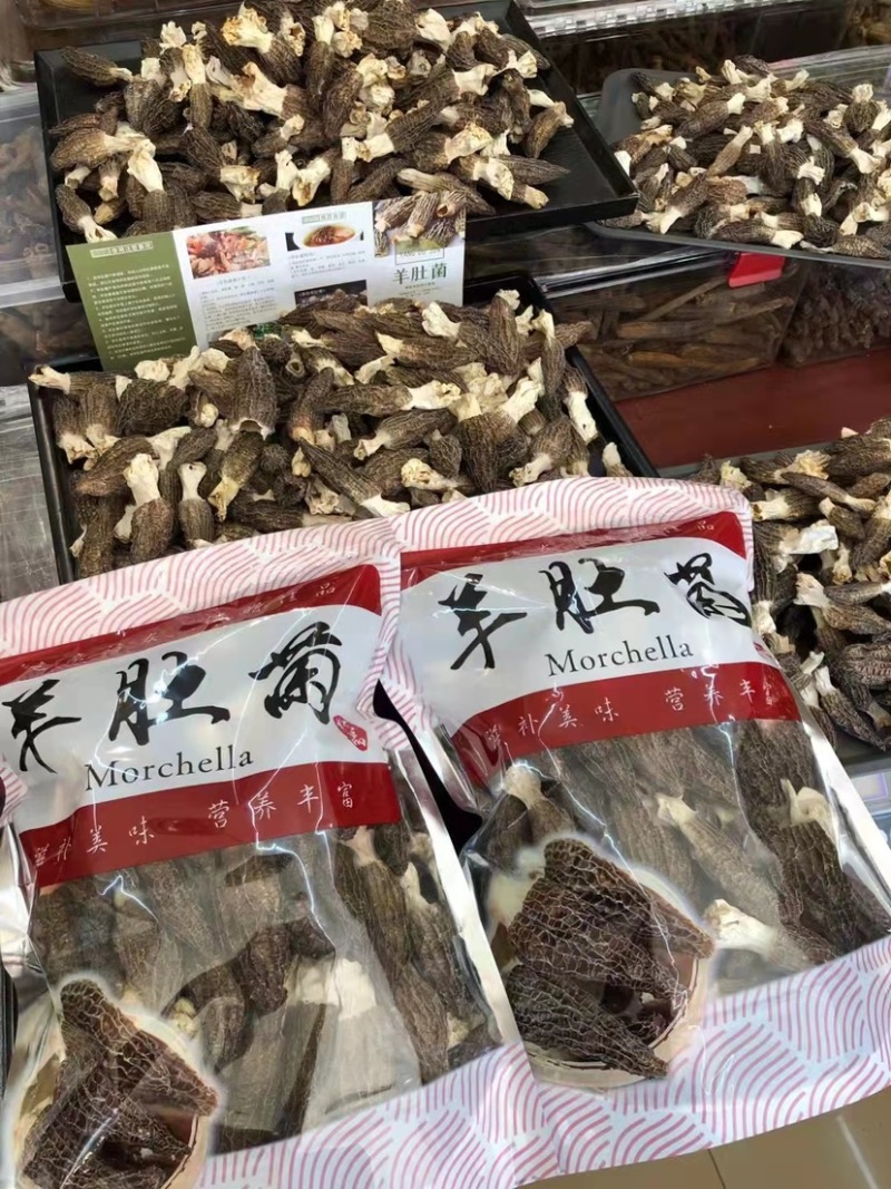 云南高山山珍羊肚菌羊肚菌大量上市。美味羊肚菌