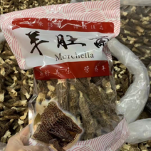 云南高山山珍羊肚菌羊肚菌大量上市。美味羊肚菌