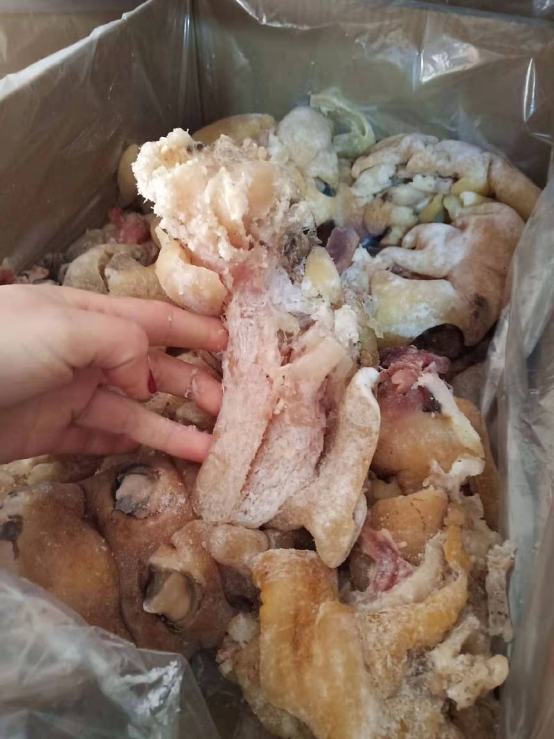 牛蹄筋，鲜货实拍，满满胶原，自己家煮的欢迎咨询订购