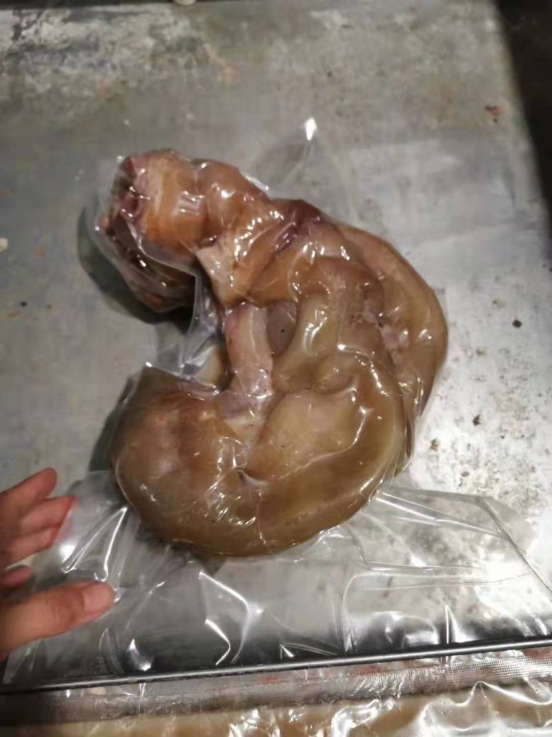 牛蹄筋，鲜货实拍，满满胶原，自己家煮的欢迎咨询订购
