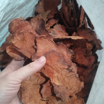 土茯苓土茯苓片红片土茯苓白片土茯苓