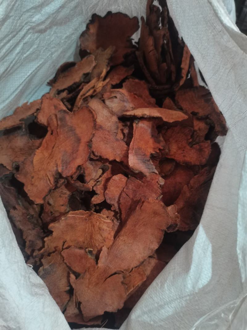 土茯苓土茯苓片红片土茯苓白片土茯苓