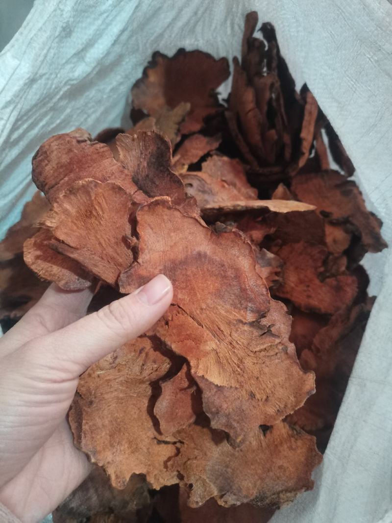 土茯苓土茯苓片红片土茯苓白片土茯苓