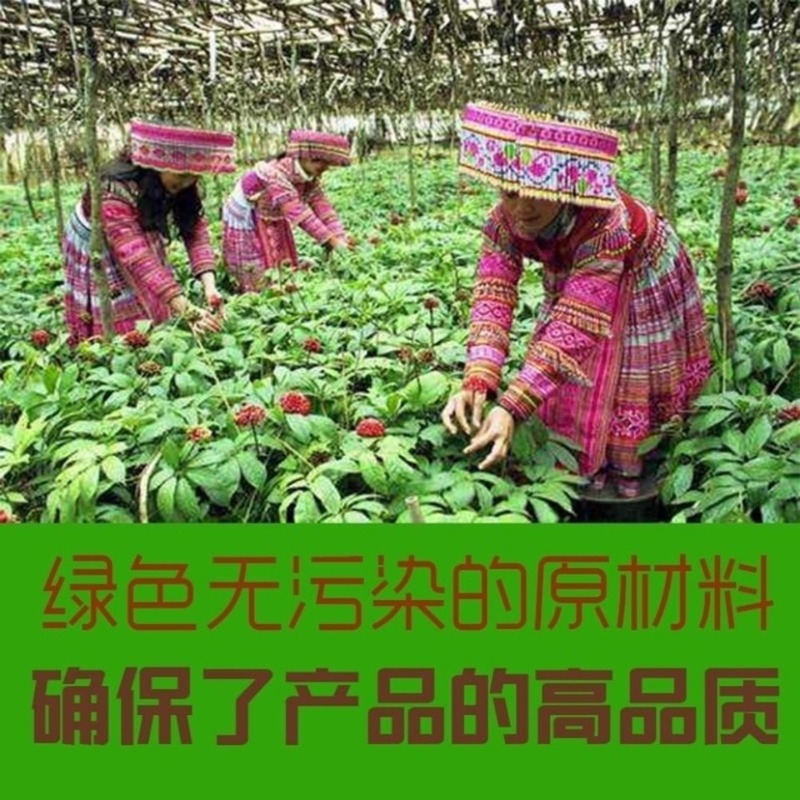 云南文山三七粉搭配组合丹参粉西洋参粉铁皮石斛粉四宝粉