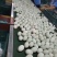 广西北部湾北海海鸭蛋原产地海鸭蛋批发
