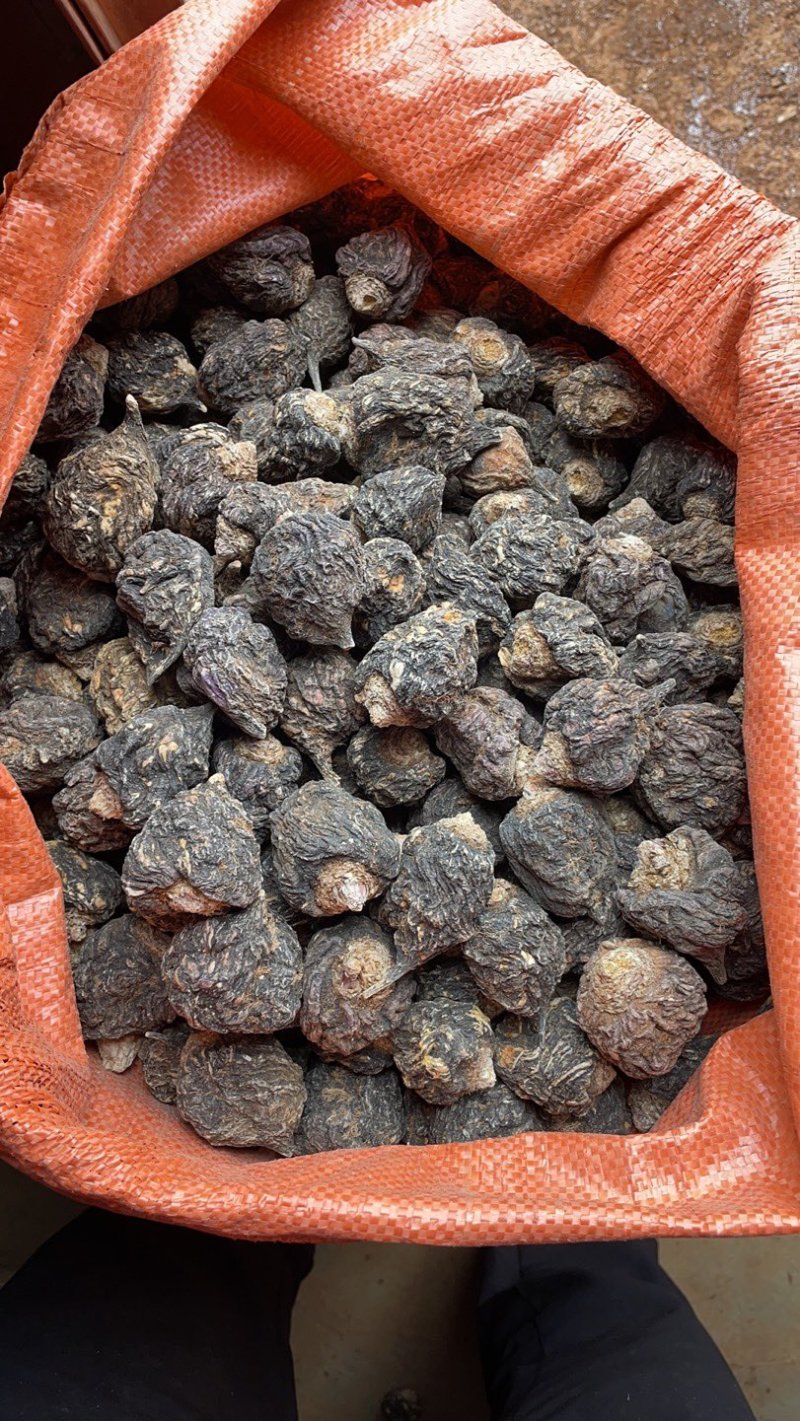 云南黑玛卡干果干片特价处理质量保证产地发货
