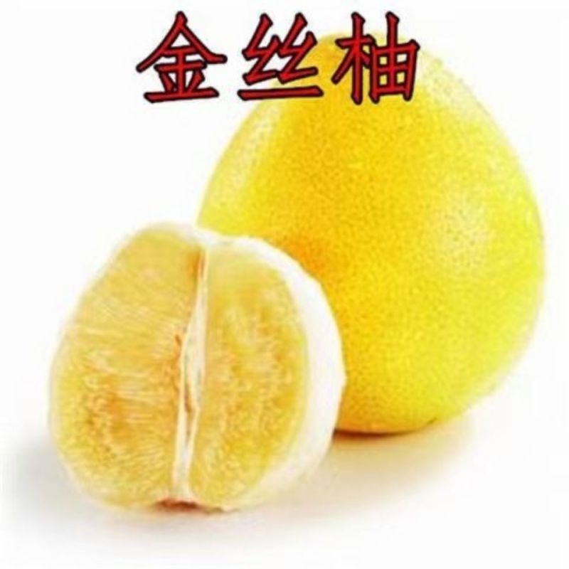 冰糖柚金丝柚子苗蜜柚树苗嫁接柚子树苗甜蜜柚果树当年可结果