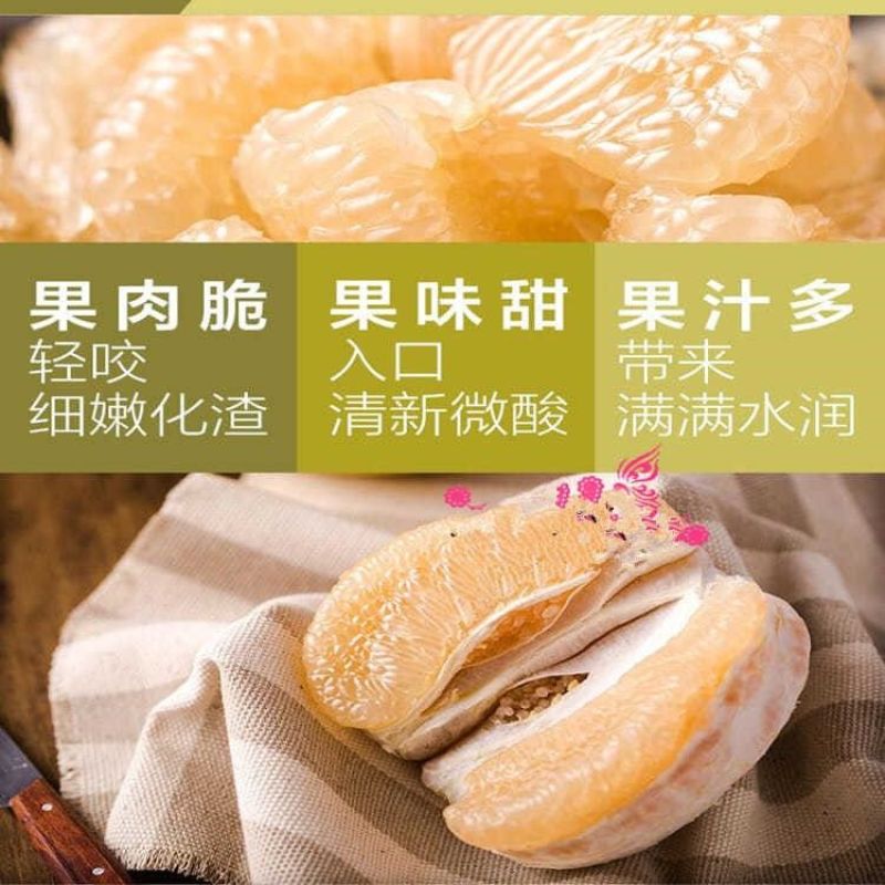 冰糖柚金丝柚子苗蜜柚树苗嫁接柚子树苗甜蜜柚果树当年可结果