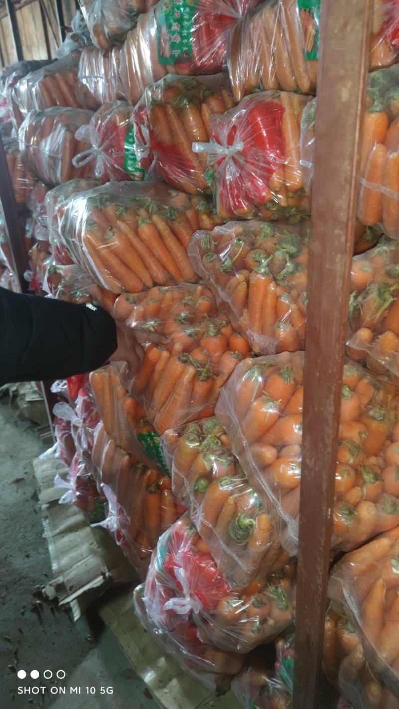 精品胡萝卜基地直发保质保量