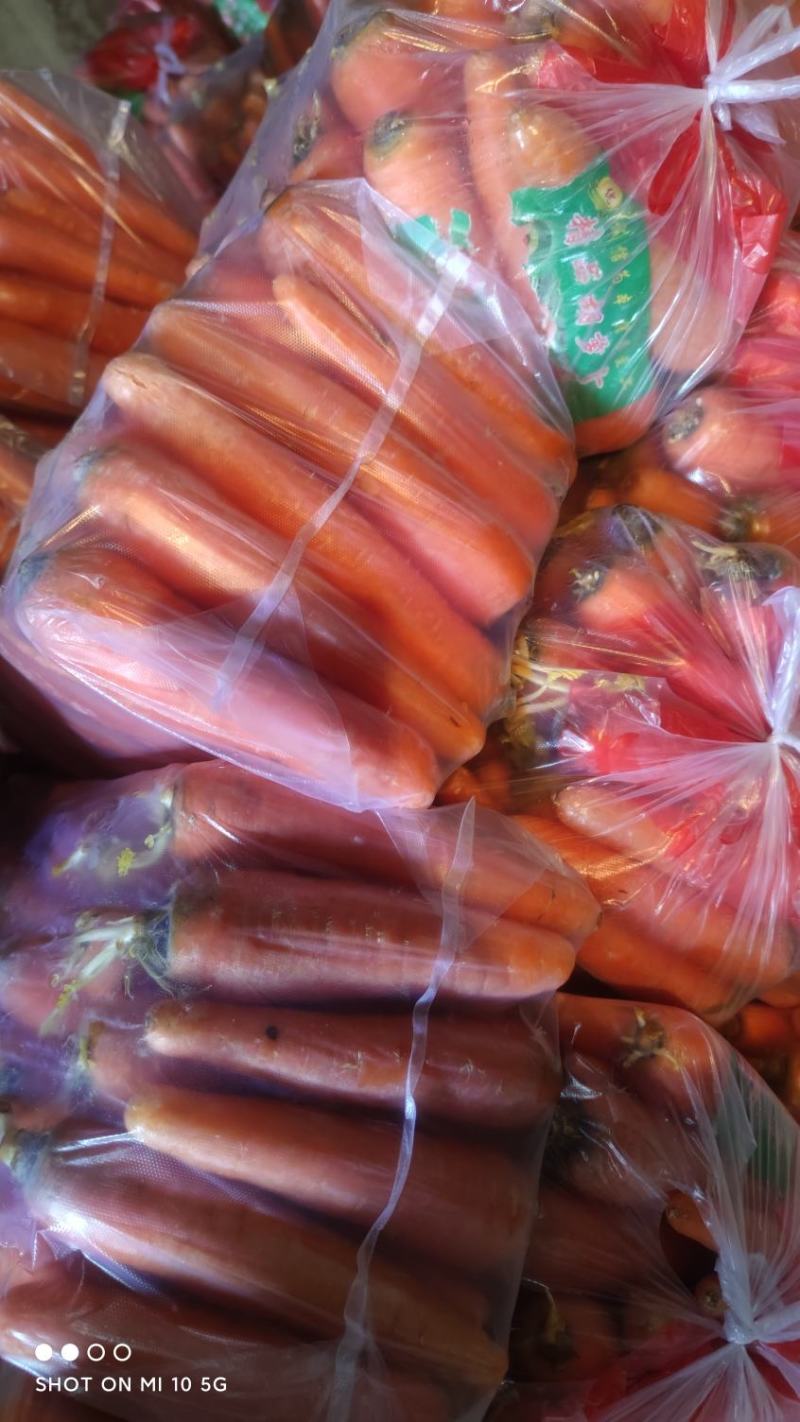 精品胡萝卜基地直发保质保量