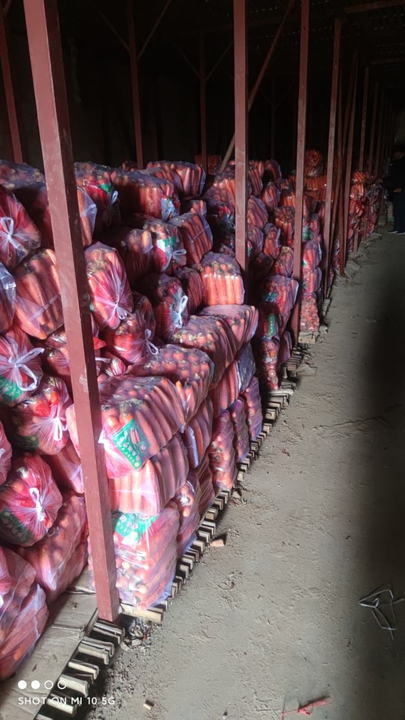 精品胡萝卜基地直发保质保量