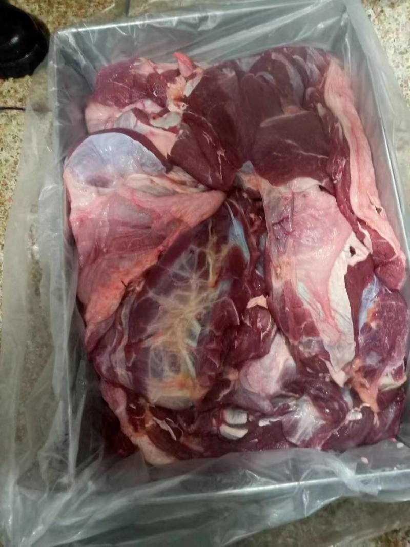 新鲜去骨黄牛肉里脊肉马肉牛下货马下货