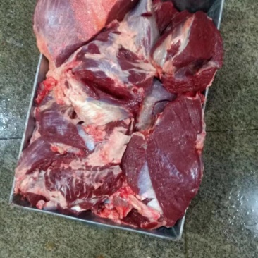新鲜去骨黄牛肉里脊肉马肉牛下货马下货