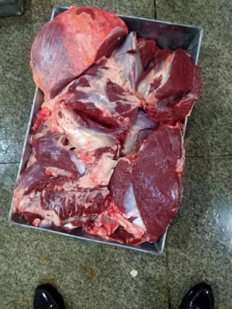 新鲜去骨黄牛肉里脊肉马肉牛下货马下货