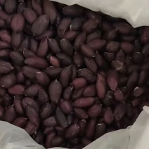 辽阳黑花生米
