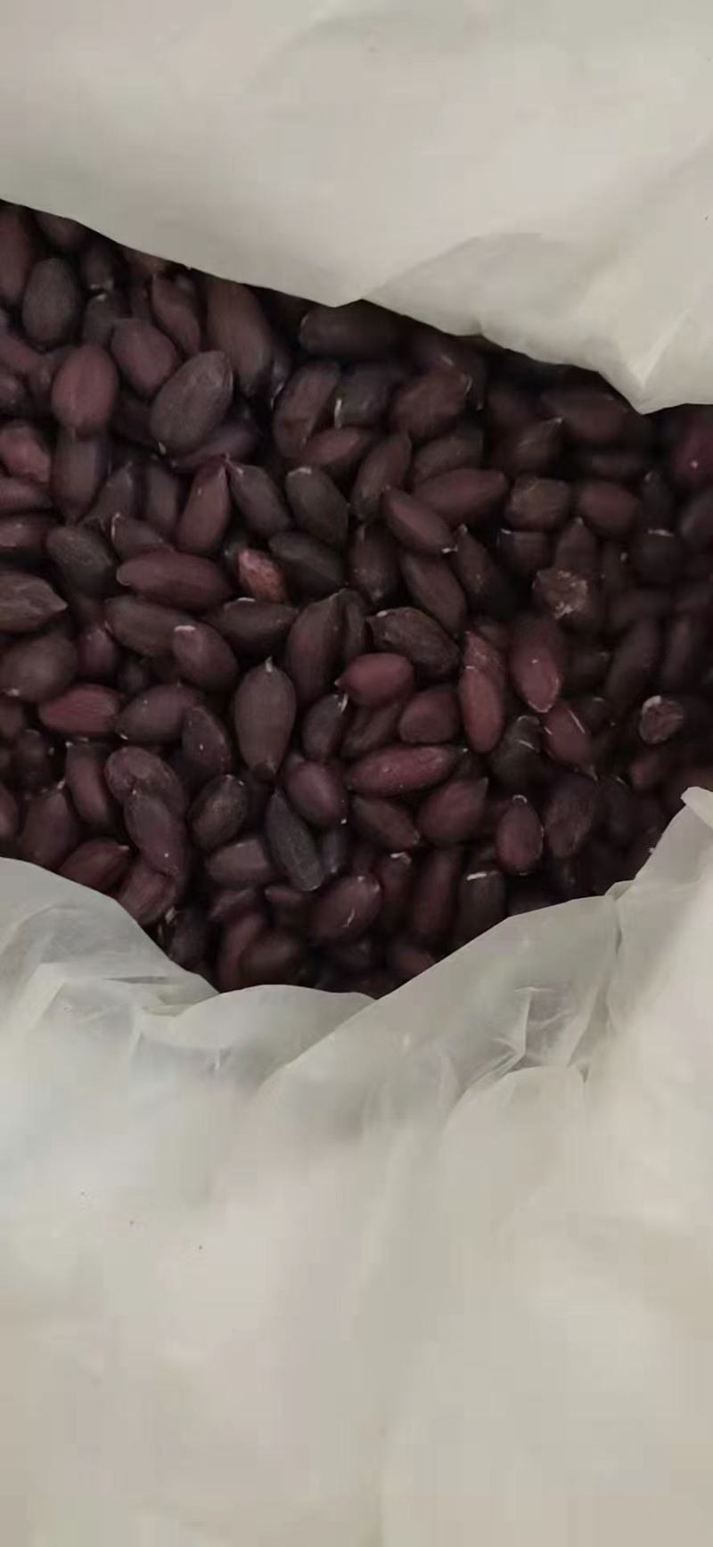辽阳黑花生米