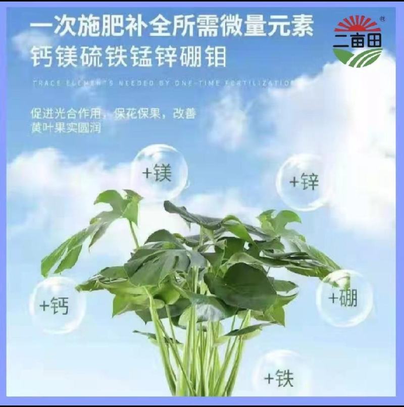 微量元素钙镁锌钼靶铁锰