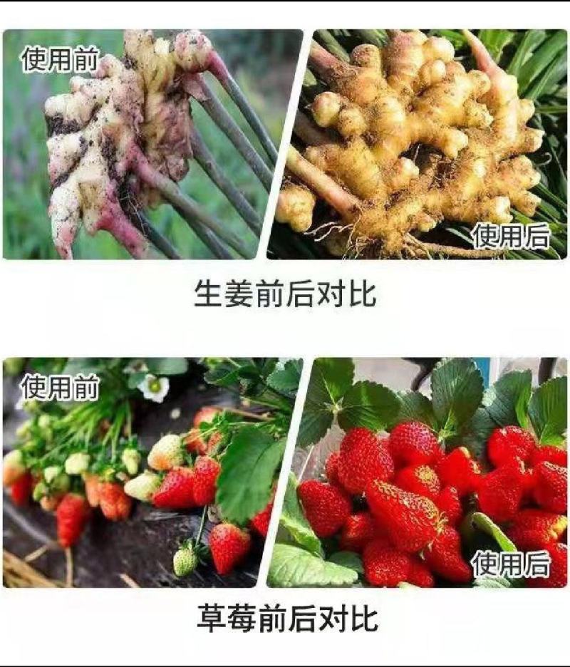 微量元素钙镁锌钼靶铁锰