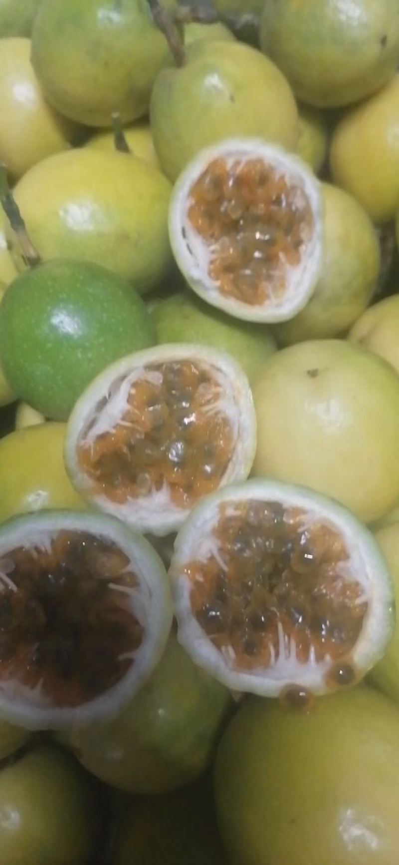 黄金百香果