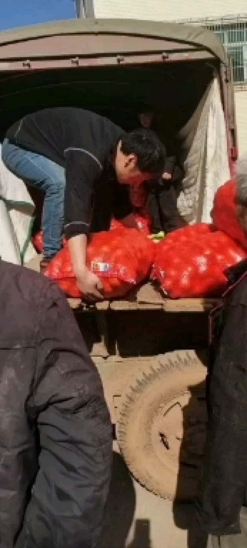 湖南麻阳冰糖橙产地大量现货一手货源，芦柑低到四毛一斤，