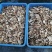 土伏苓干片，粉质土伏苓，2025年新货，无硫手工切片