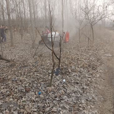 果园风送打药机自走式双动力风送打撒药机