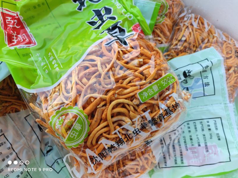 虫草花