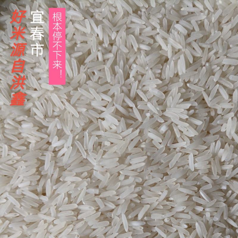 2022年新米野香优莉丝/荆粘一号香米大量上市稳定供应