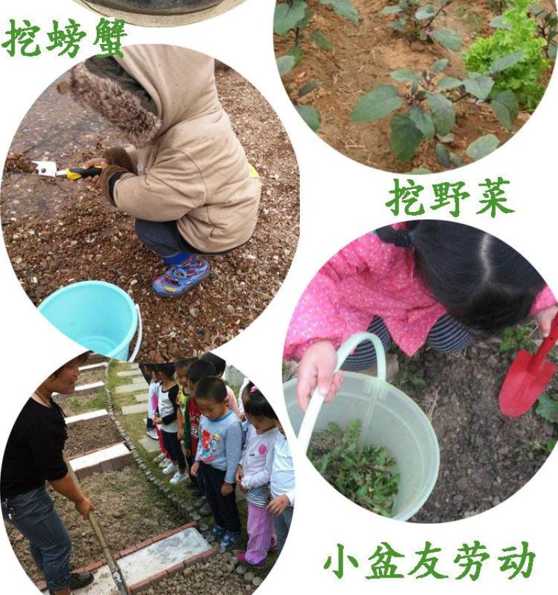 镁铝合金园艺工具家用种花套装三件套铲子盆栽工具