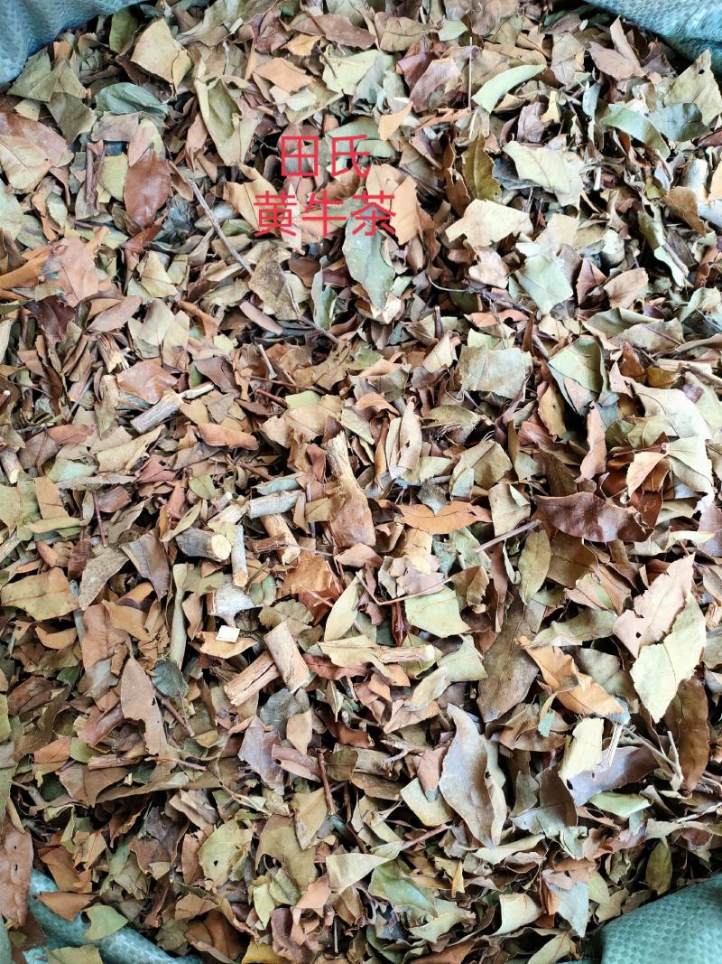 野生广西中药材无硫黄牛茶黄牛木叶干货自然晒干