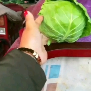 河北邯郸永年蔬菜代收，代卖