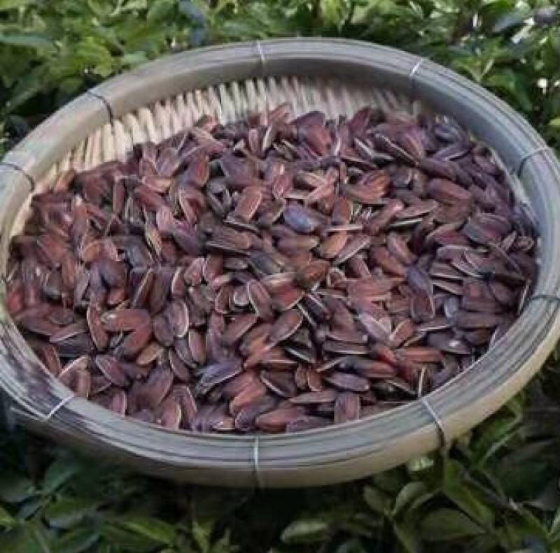 云南红皮葵花籽壳簿甜糯口感好
