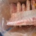 内蒙羊肉，法式羊排，每片五斤左右高端食材供应【一件代发】