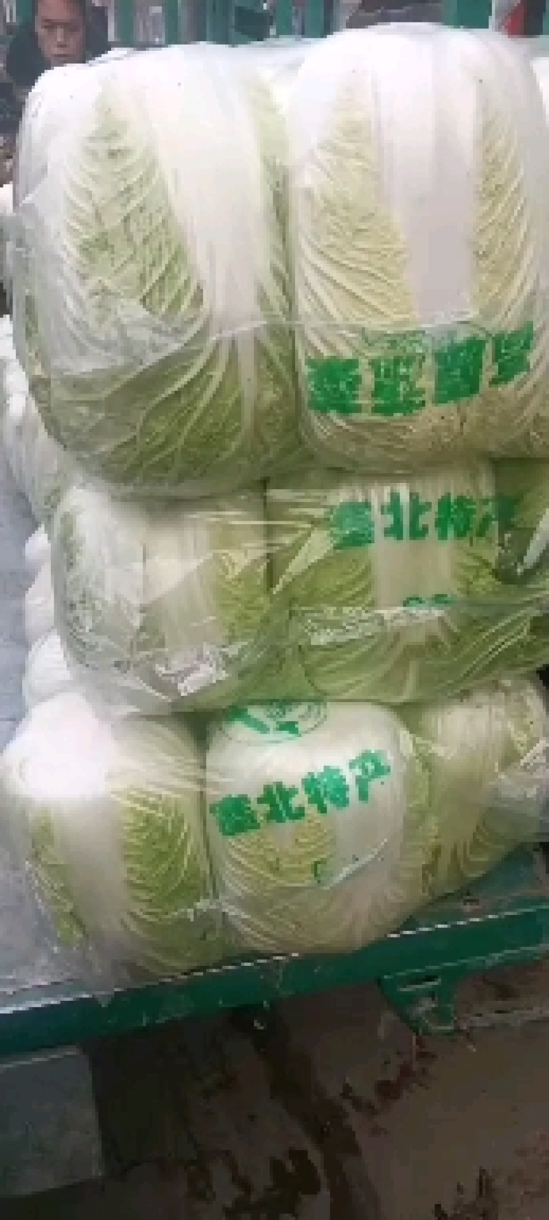 河北甘蓝大量有货产地直发质量好全国代发欢迎咨询选购