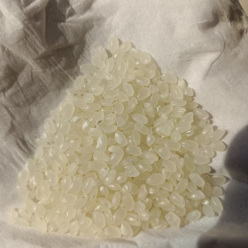 大米大米珍珠米新米陈米东北大米