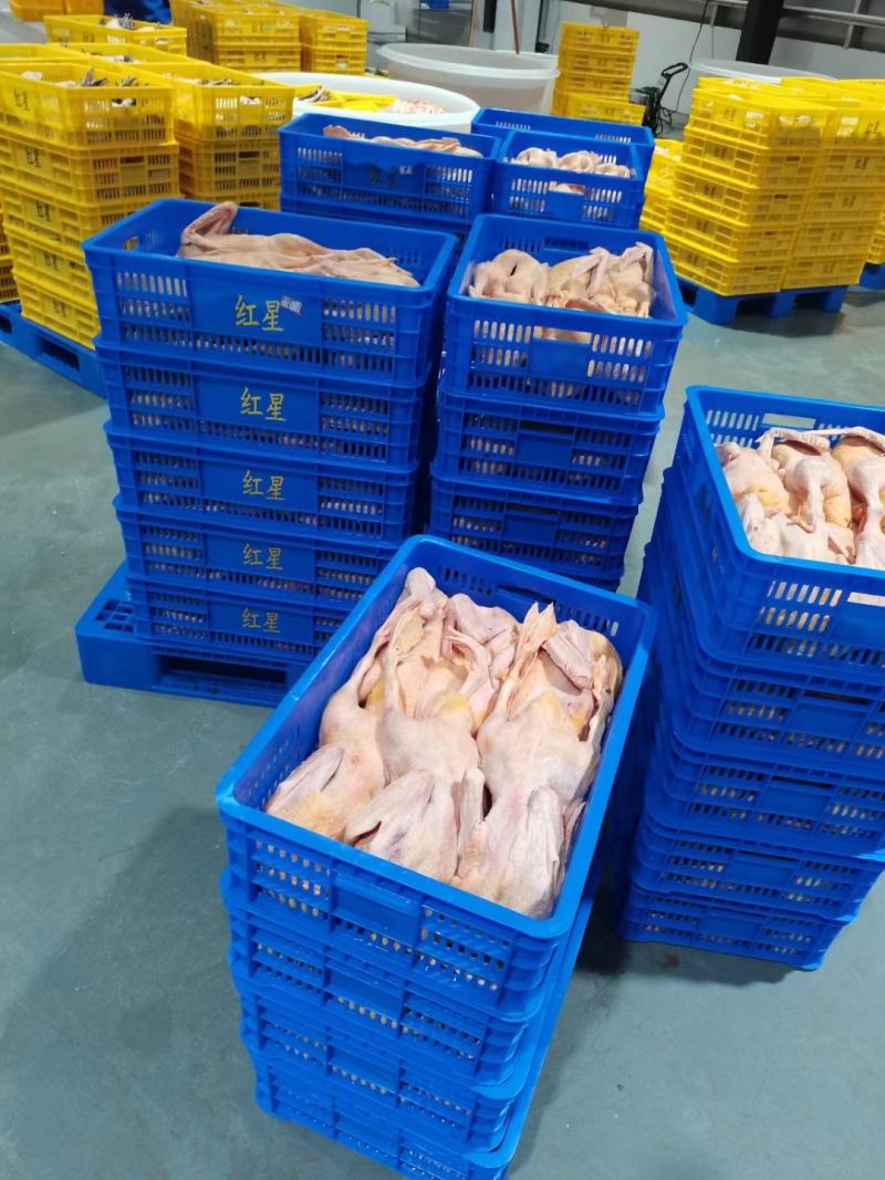 全品类白条鸭