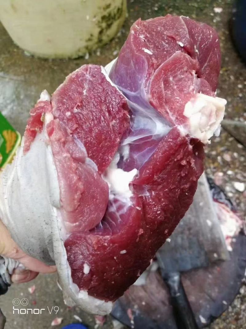 发酵好的猪粪厂家直供应。农家肥#高温发酵罐发酵完成#有机