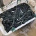 精品黑鱼苗，抗病毒强，需要电话联系