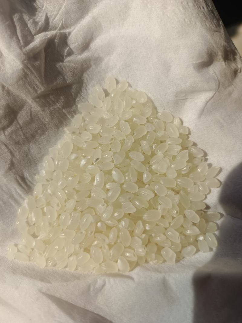 大米大米珍珠米新米陈米东北大米