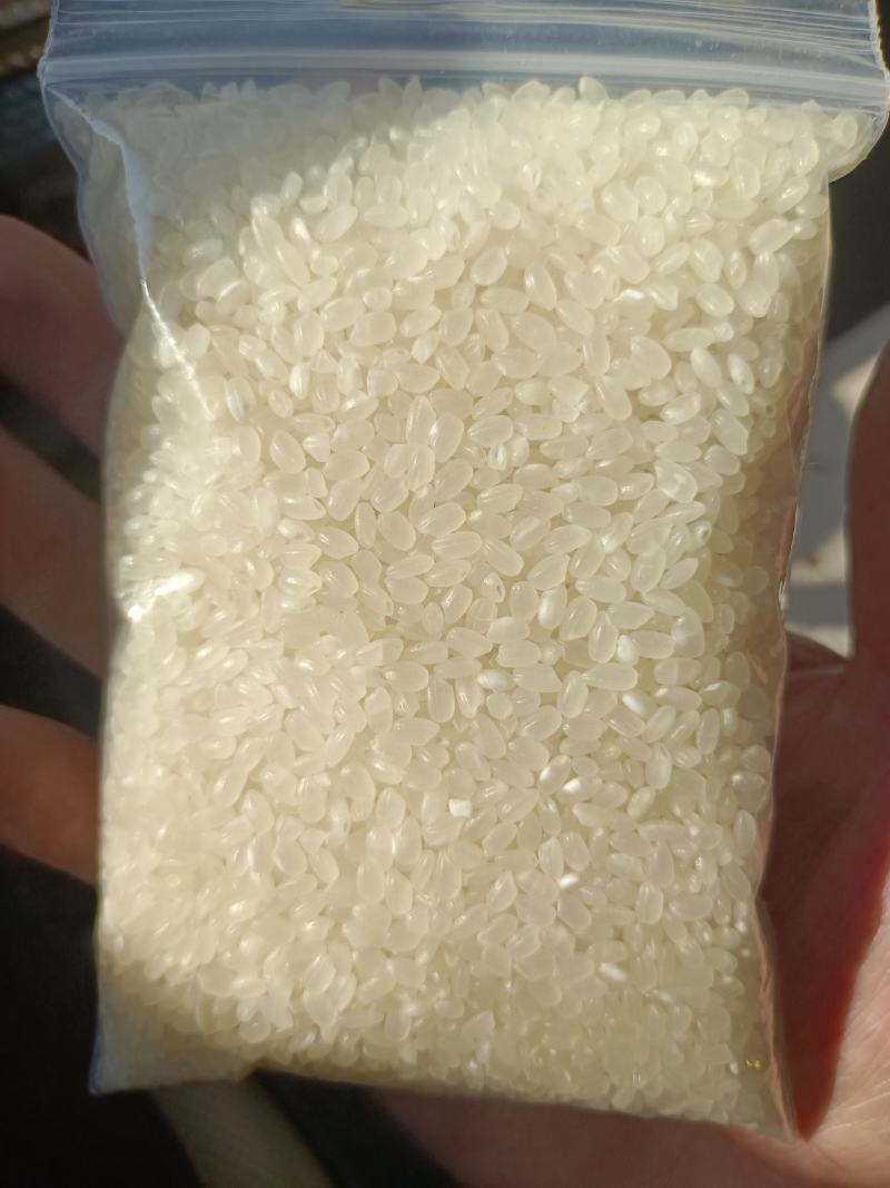 大米大米珍珠米新米陈米东北大米