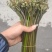 蕨菜可以提供各种包装。