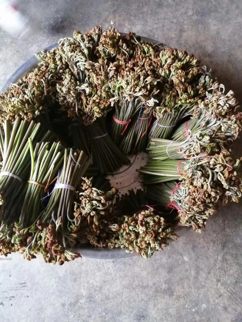 蕨菜可以提供各种包装。