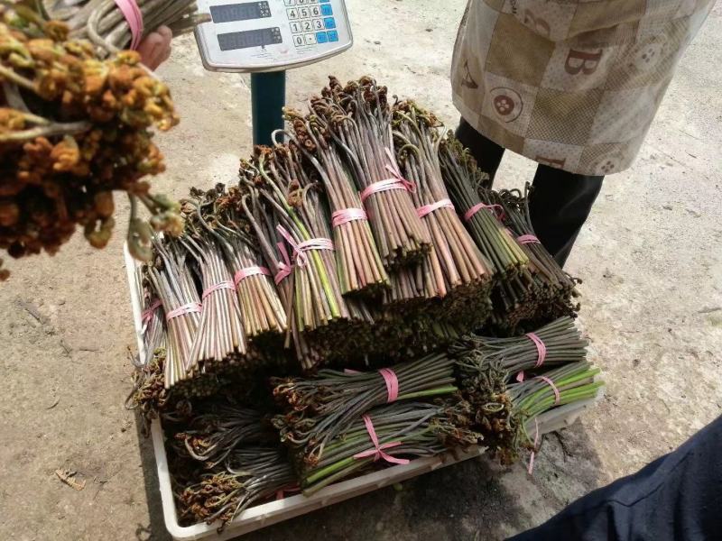 蕨菜可以提供各种包装。