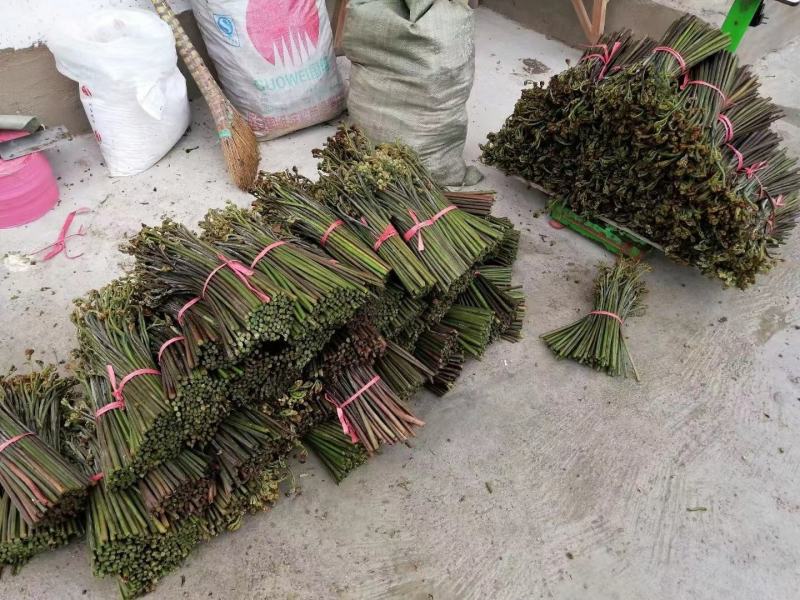 蕨菜可以提供各种包装。
