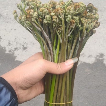 蕨菜可以提供各种包装。
