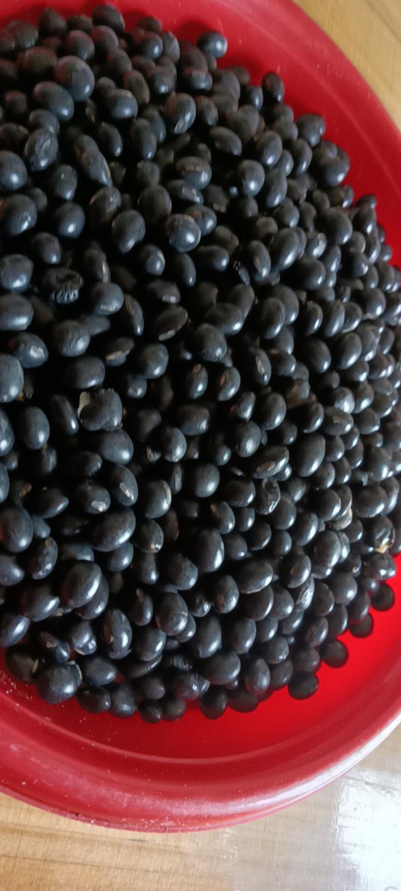 农家自种的黑豆新鲜，质量好，1斤一件包邮。
